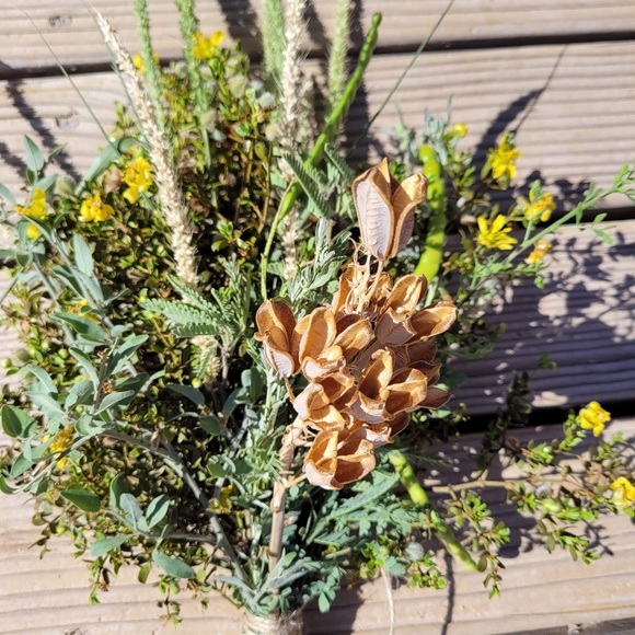 Meet your Posher, Christina - Picture 9 of 13